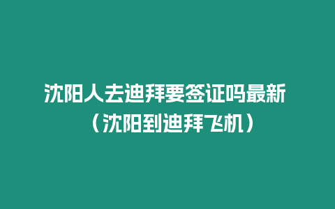 沈陽人去迪拜要簽證嗎最新 （沈陽到迪拜飛機）