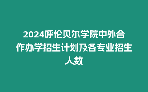 2024呼倫貝爾學院中外合作辦學招生計劃及各專業招生人數