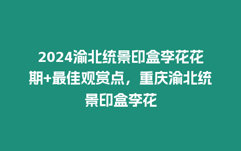 2024渝北統景印盒李花花期+最佳觀賞點，重慶渝北統景印盒李花