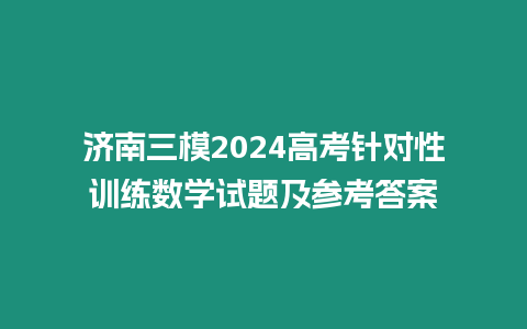 濟(jì)南三模2024高考針對(duì)性訓(xùn)練數(shù)學(xué)試題及參考答案