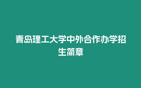 青島理工大學中外合作辦學招生簡章