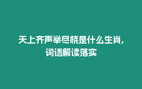 天上齊聲舉盡橈是什么生肖,詞語解讀落實