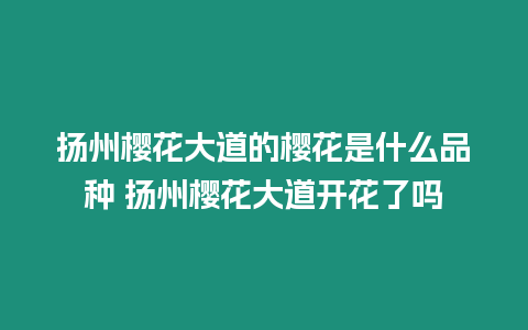 揚(yáng)州櫻花大道的櫻花是什么品種 揚(yáng)州櫻花大道開花了嗎