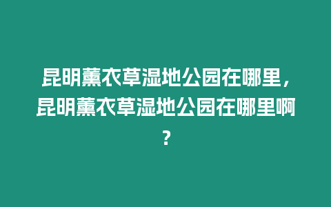 昆明薰衣草濕地公園在哪里，昆明薰衣草濕地公園在哪里啊？