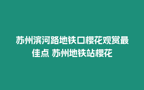 蘇州濱河路地鐵口櫻花觀賞最佳點 蘇州地鐵站櫻花