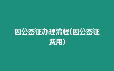 因公簽證辦理流程(因公簽證費用)