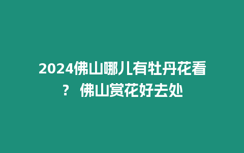 2024佛山哪兒有牡丹花看？ 佛山賞花好去處