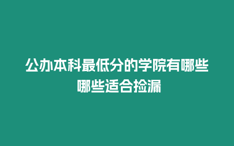 公辦本科最低分的學院有哪些 哪些適合撿漏