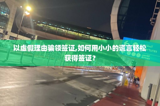 以虛假理由騙領簽證,如何用小小的謊言輕松獲得簽證？