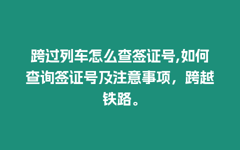 跨過列車怎么查簽證號,如何查詢簽證號及注意事項，跨越鐵路。