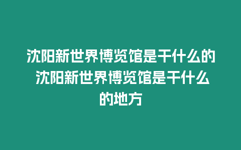 沈陽新世界博覽館是干什么的 沈陽新世界博覽館是干什么的地方