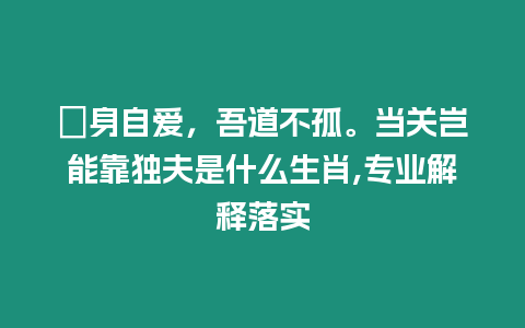 潔身自愛，吾道不孤。當關豈能靠獨夫是什么生肖,專業(yè)解釋落實