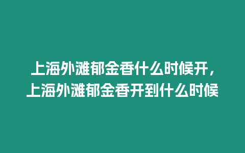 上海外灘郁金香什么時候開，上海外灘郁金香開到什么時候