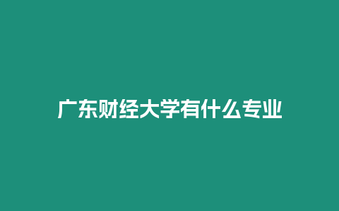 廣東財(cái)經(jīng)大學(xué)有什么專業(yè)