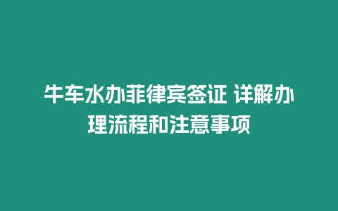 牛車水辦菲律賓簽證 詳解辦理流程和注意事項