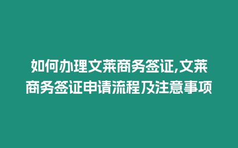 如何辦理文萊商務簽證,文萊商務簽證申請流程及注意事項