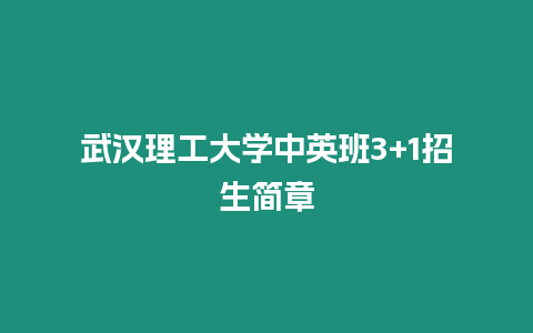 武漢理工大學中英班3+1招生簡章