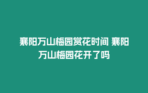 襄陽萬山梅園賞花時間 襄陽萬山梅園花開了嗎