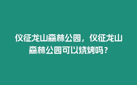 儀征龍山森林公園，儀征龍山森林公園可以燒烤嗎？