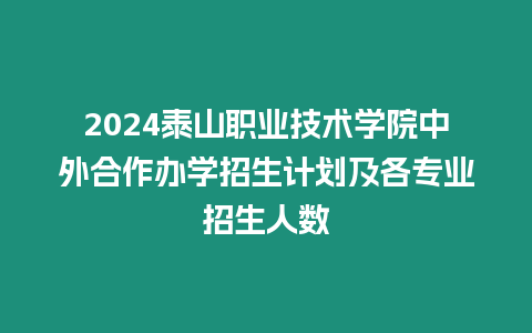 2024泰山職業技術學院中外合作辦學招生計劃及各專業招生人數