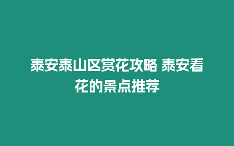 泰安泰山區賞花攻略 泰安看花的景點推薦