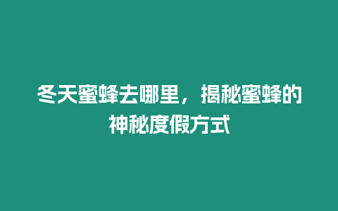 冬天蜜蜂去哪里，揭秘蜜蜂的神秘度假方式