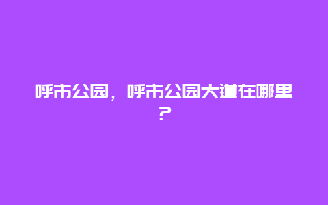 呼市公園，呼市公園大道在哪里？