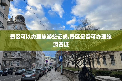 景區可以辦理旅游簽證嗎,景區是否可辦理旅游簽證