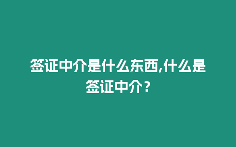 簽證中介是什么東西,什么是簽證中介？