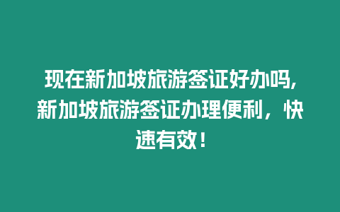 現在新加坡旅游簽證好辦嗎,新加坡旅游簽證辦理便利，快速有效！