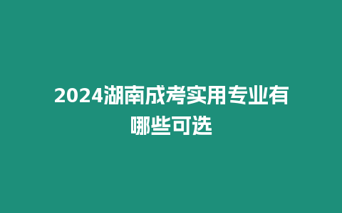 2024湖南成考實用專業有哪些可選