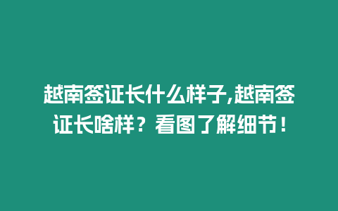 越南簽證長什么樣子,越南簽證長啥樣？看圖了解細節！