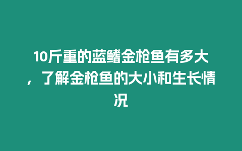 10斤重的藍鰭金槍魚有多大，了解金槍魚的大小和生長情況