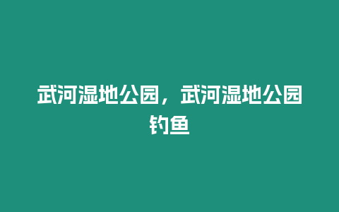 武河濕地公園，武河濕地公園釣魚