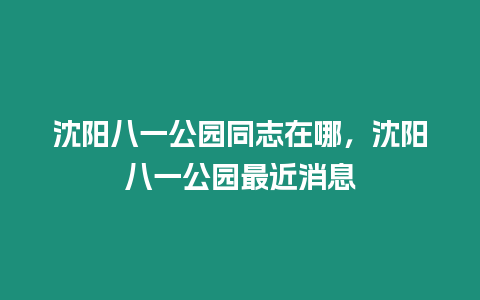 沈陽八一公園同志在哪，沈陽八一公園最近消息