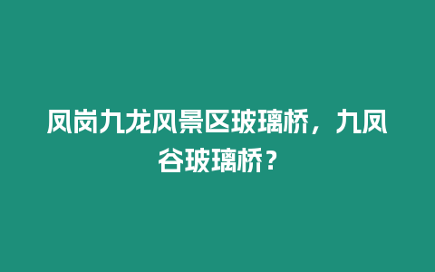 鳳崗九龍風景區玻璃橋，九鳳谷玻璃橋？