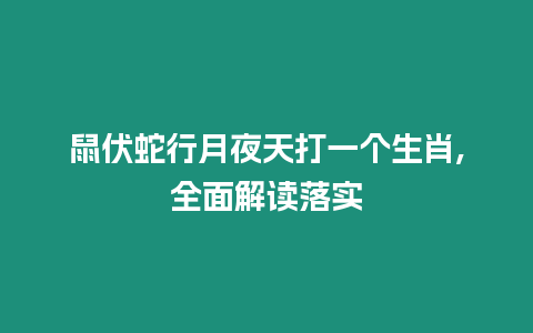 鼠伏蛇行月夜天打一個生肖,全面解讀落實