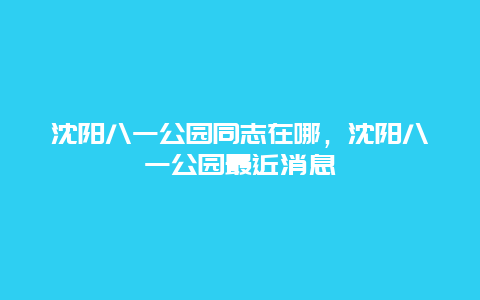 沈陽八一公園同志在哪，沈陽八一公園最近消息