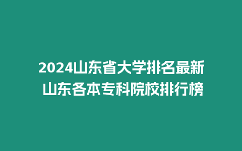 2024山東省大學排名最新 山東各本專科院校排行榜