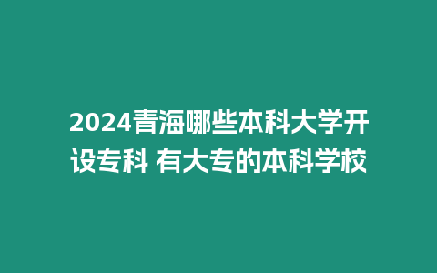 2024青海哪些本科大學開設專科 有大專的本科學校