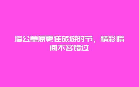 塔公草原更佳旅游時(shí)節(jié)，精彩瞬間不容錯(cuò)過