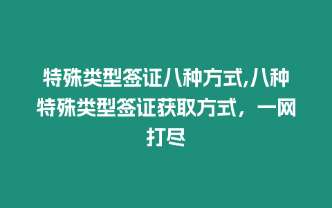 特殊類型簽證八種方式,八種特殊類型簽證獲取方式，一網打盡