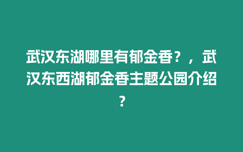 武漢東湖哪里有郁金香？，武漢東西湖郁金香主題公園介紹？