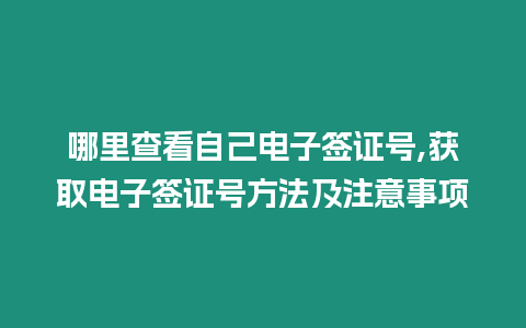 哪里查看自己電子簽證號,獲取電子簽證號方法及注意事項