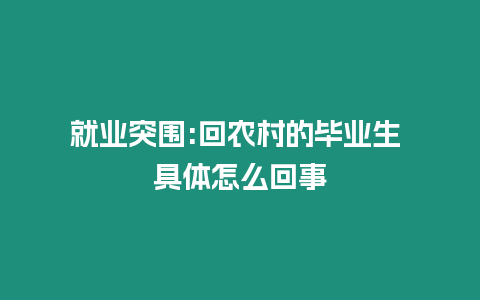 就業突圍:回農村的畢業生 具體怎么回事