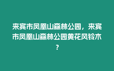 來賓市鳳凰山森林公園，來賓市鳳凰山森林公園黃花風鈴木？