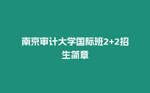 南京審計大學國際班2+2招生簡章