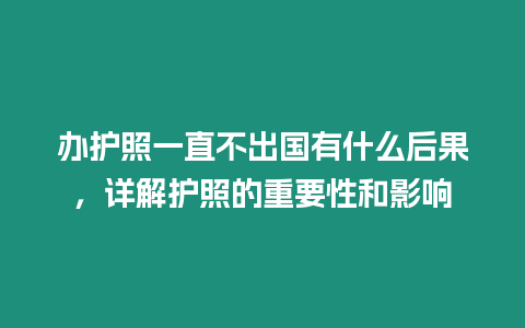 辦護照一直不出國有什么后果，詳解護照的重要性和影響