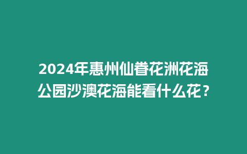 2024年惠州仙眷花洲花海公園沙澳花海能看什么花？