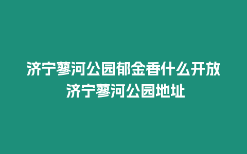 濟寧蓼河公園郁金香什么開放 濟寧蓼河公園地址